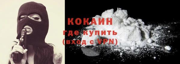 ГАЛЛЮЦИНОГЕННЫЕ ГРИБЫ Осинники