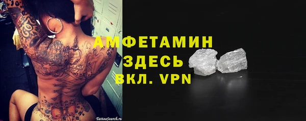 ГАЛЛЮЦИНОГЕННЫЕ ГРИБЫ Осинники