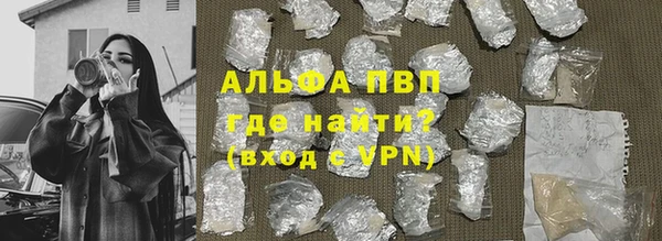 ГАЛЛЮЦИНОГЕННЫЕ ГРИБЫ Осинники