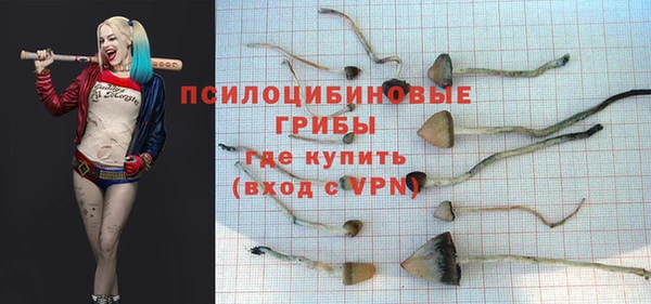 ГАЛЛЮЦИНОГЕННЫЕ ГРИБЫ Осинники