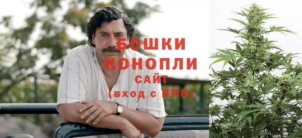 ГАЛЛЮЦИНОГЕННЫЕ ГРИБЫ Осинники