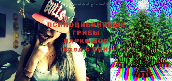 ГАЛЛЮЦИНОГЕННЫЕ ГРИБЫ Осинники
