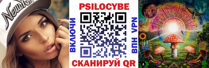 наркошоп  Руза  Галлюциногенные грибы Cubensis 